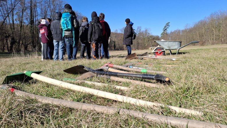 Eine K&auml;ferburg entsteht ...