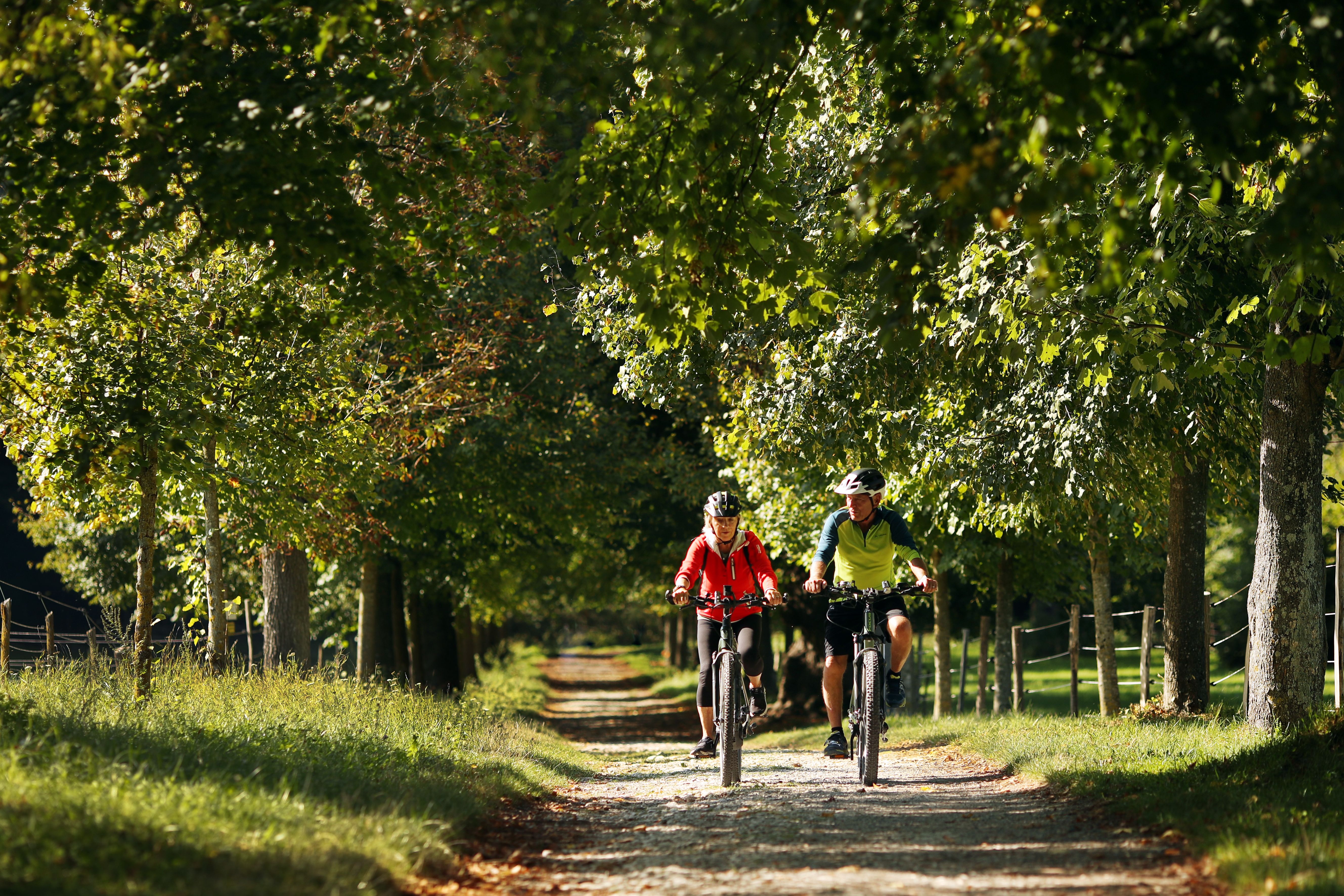 Radfahren im Naturpark Wüste Mannersdorf