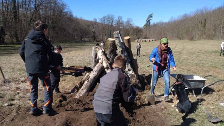 Eine K&auml;ferburg entsteht ...