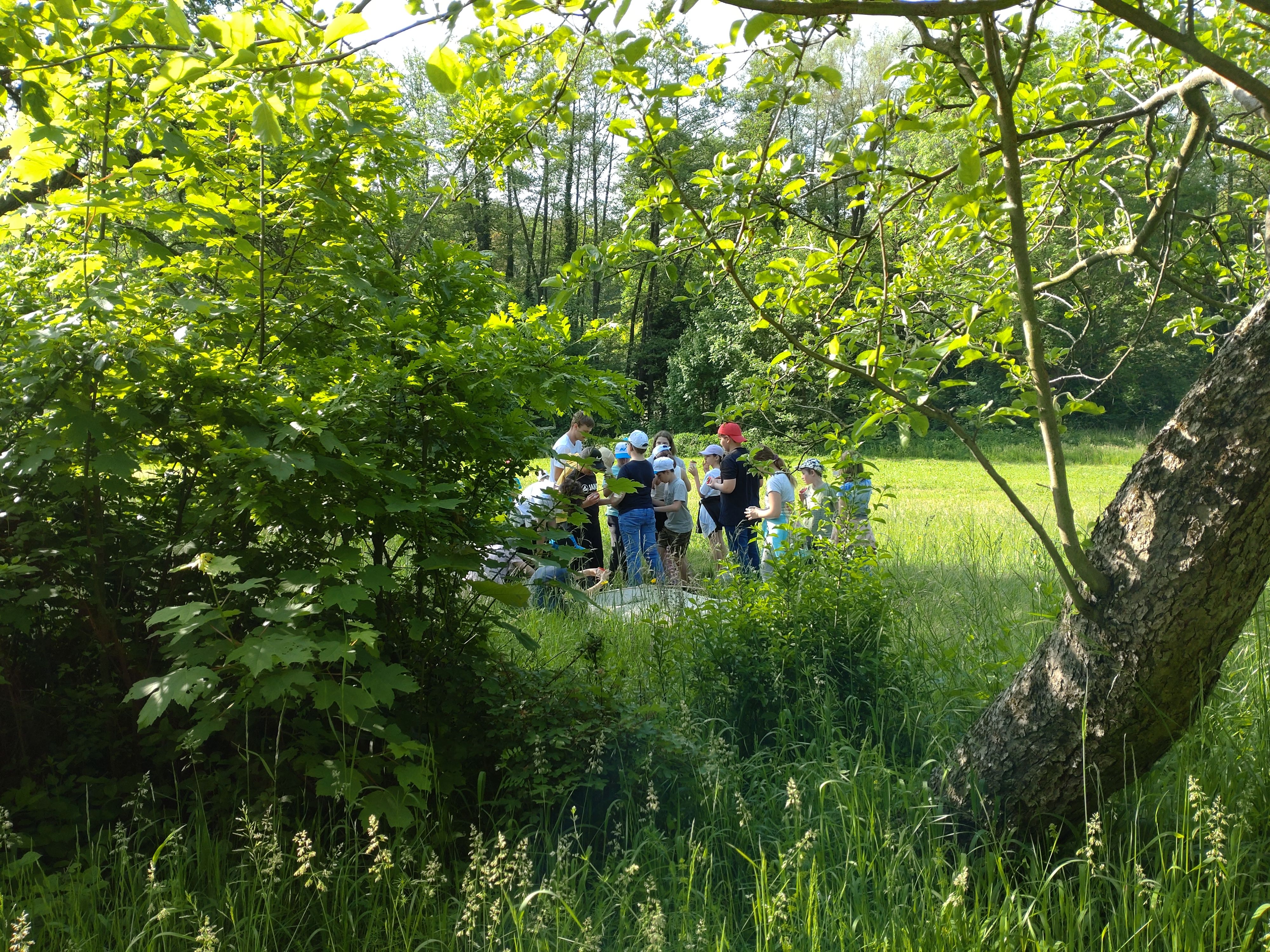 Schüler:innengruppe auf der Streuobstwiese