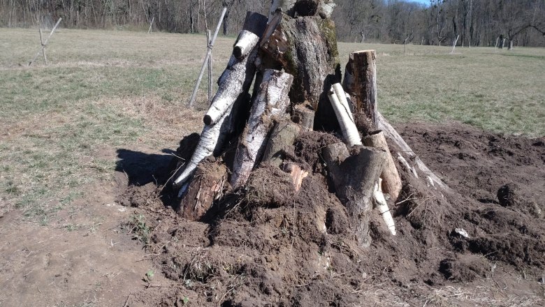 Eine K&auml;ferburg entsteht ...
