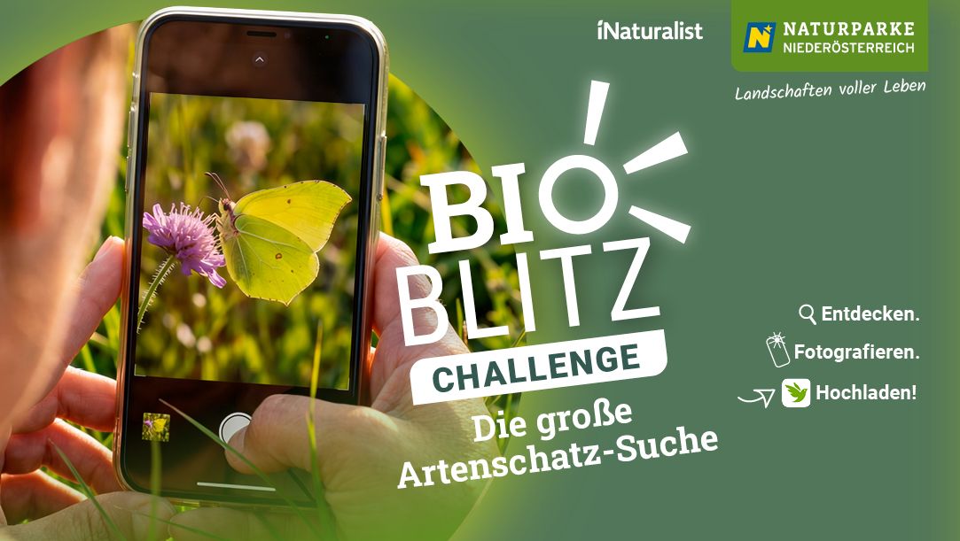 Kampagnen-Sujet BIOBLITZ